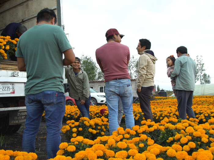 Locally, the flowers in Mexico City