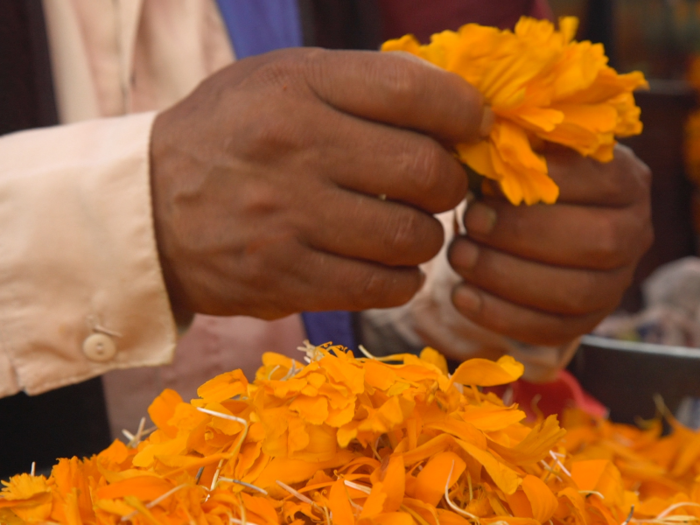 Experts say that sales of the flower have increased as migration shifted from rural areas towards more metropolitan areas.