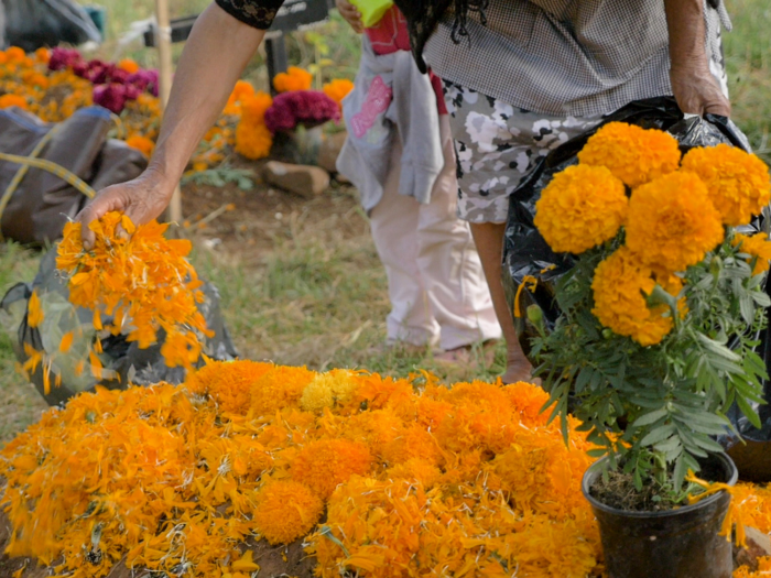 The family business has seen a spike in flower sales recently, as the Day of the Dead has transformed from a religious holiday to a popular worldly celebration.