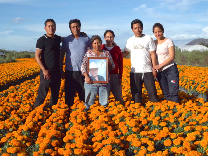 For the past 30 years, the Telésforo family has grown and cultivated these flowers in Mexico City.