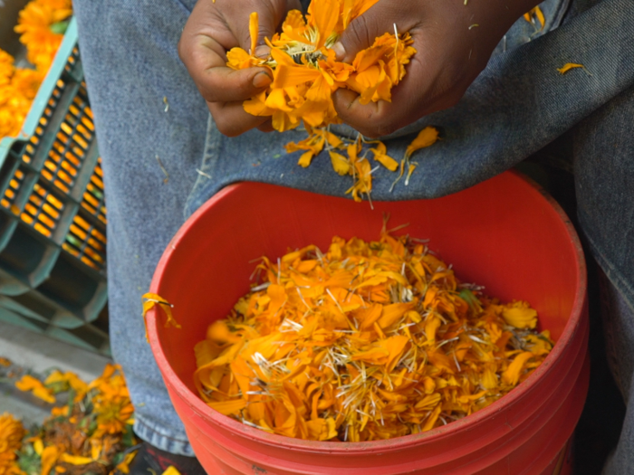 The flowers are meant to guide the spirits back to their homes to be reunited with their loved ones.