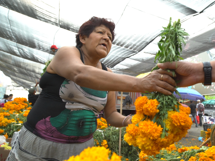 Over hundreds of thousands of cempasúchiles are sold this time of year.