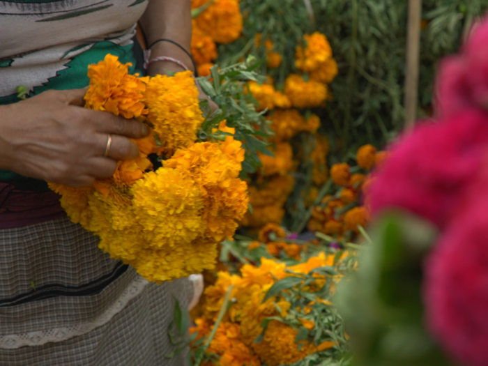 The flowers are called cempasúchiles.