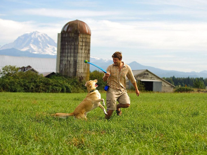 The best dog toy for chasing