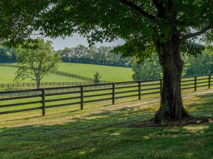 No expense is spared for the horses at Jonabell. Just consider the fences: They aren