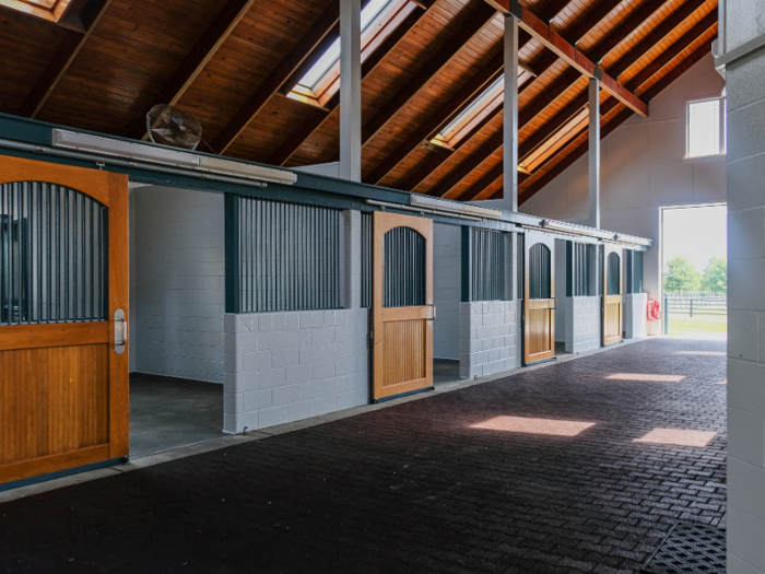 The barns are absolutely immaculate, with gleaming wooden panels and skylights.