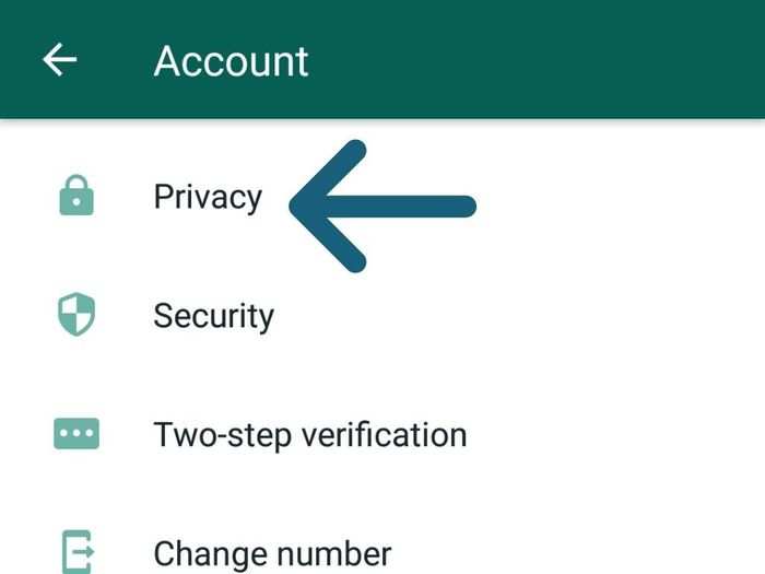 3. In the ‘Account’ menu, select the first option — Privacy.