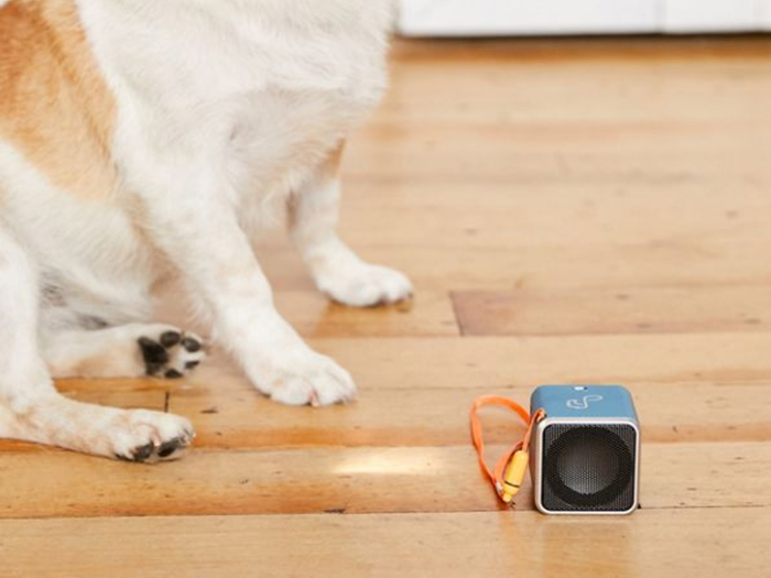 A speaker to keep pet anxiety at bay