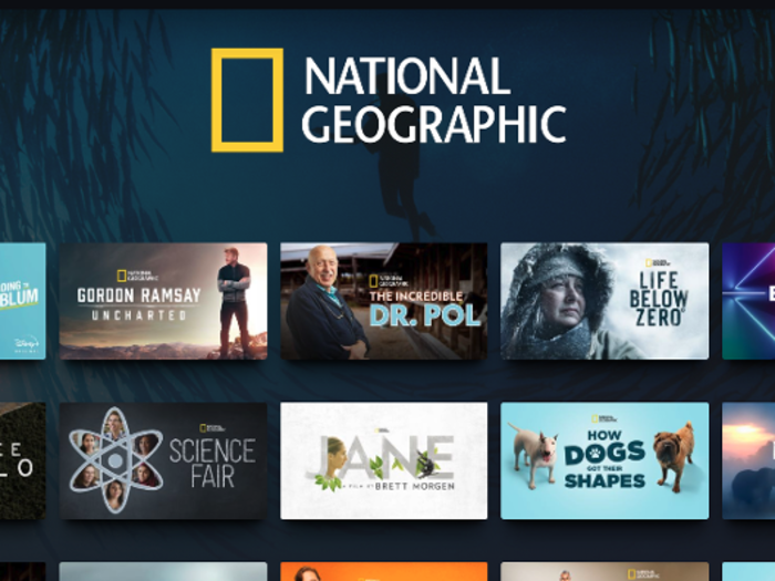 The National Geographic section has original content like "The World According to Jeff Goldblum," and critically acclaimed documentaries like "Free Solo."