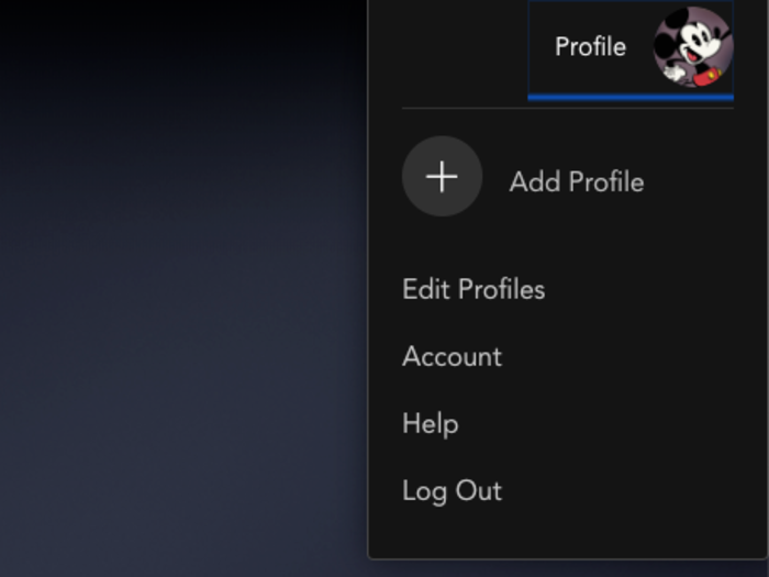 Disney Plus allows up to 7 profiles.