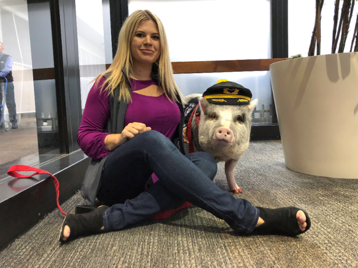 All therapy animals, including pigs, must go through a training program, and they need "a stable temperament, good manners and a friendly personality," guest services manager Jennifer Kazarian said.