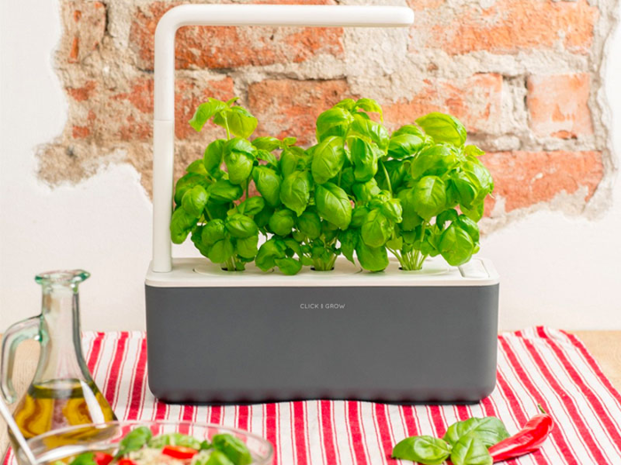 A smart herb garden