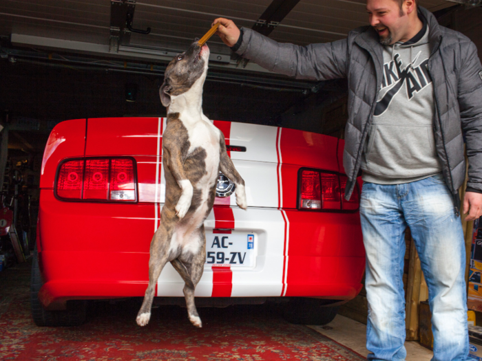 Since 2016, one in four Mustangs are now owned by drivers in China, the UK, and Germany.