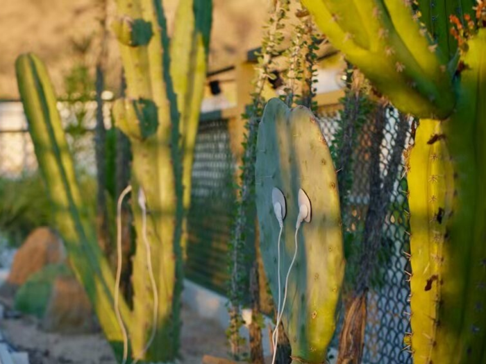 Custom plant music installation