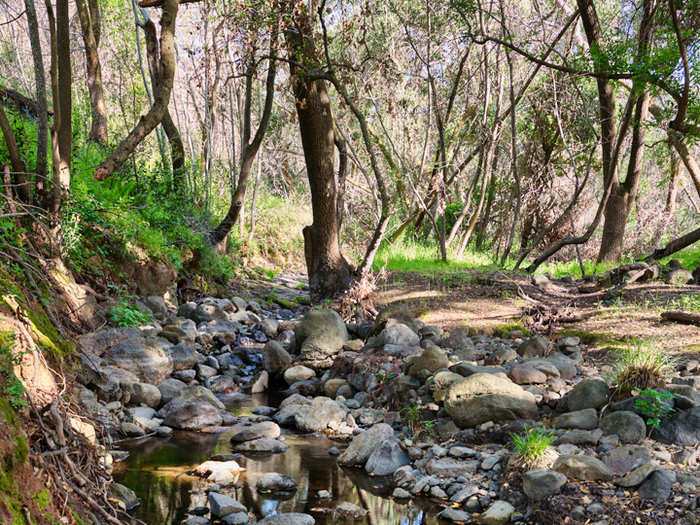 The sale will be one of the largest Bay Area land deals, with 857 acres, several springs, and an 80-foot waterfall.