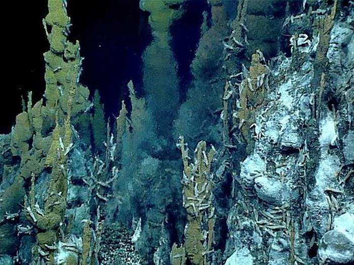 Life on Earth crops up around these vents. These ecosystems don