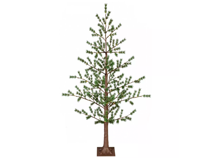 An evergreen twig tree that