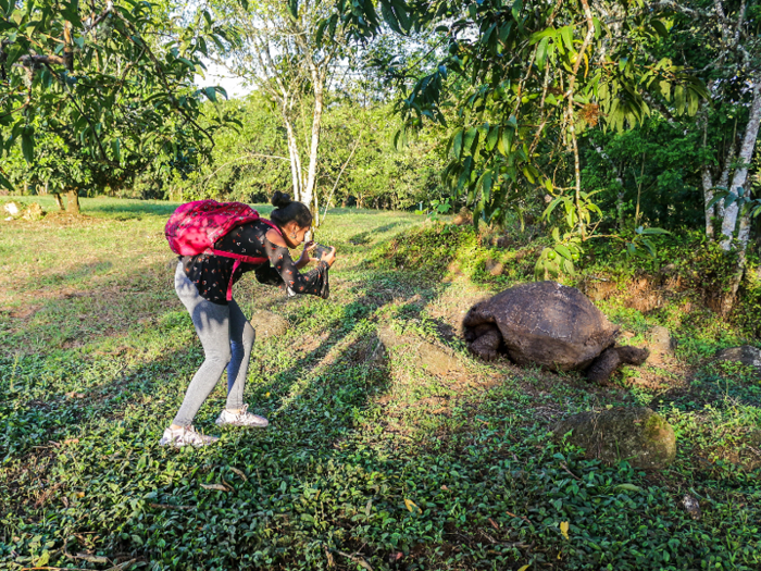 Galapágos Island, Ecuador