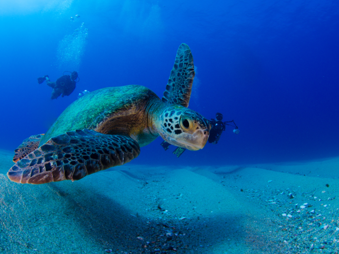 Parque Nacional Arrecifes de Cozumel, Mexico