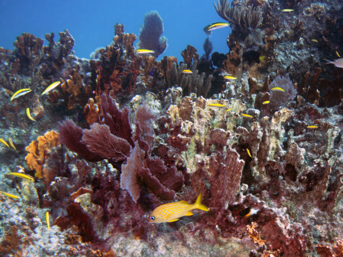 Florida Keys National Marine Sanctuary