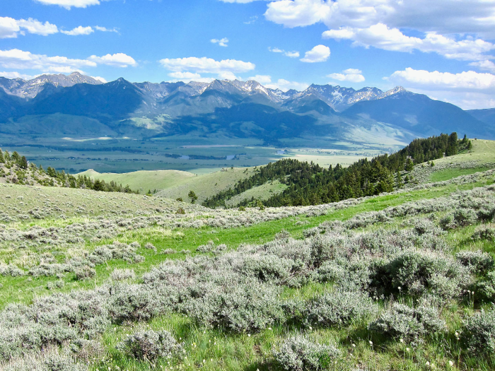 The ranch offers stunning views of the Absaroka mountain range.