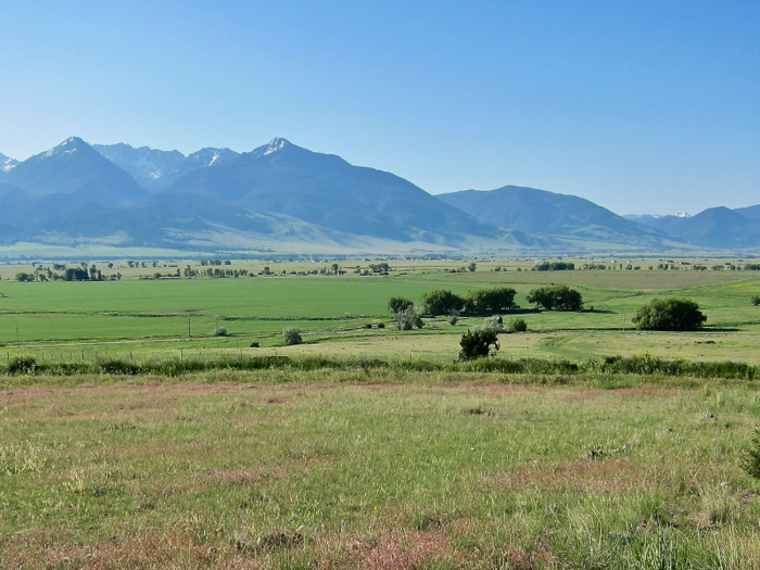 The thousands of acres of land serve as critical habitat for a giant herd of wintering elk, according to the brokerage.