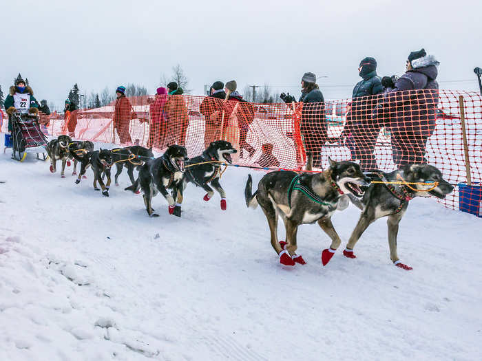 Fairbanks, Alaska, is known for dog sledding and the Northern Lights, which prompted the town to create a fifth season, known as the Aurora Season. It gets brutally cold. In 2017, temperatures dropped to -50 degrees Fahrenheit.