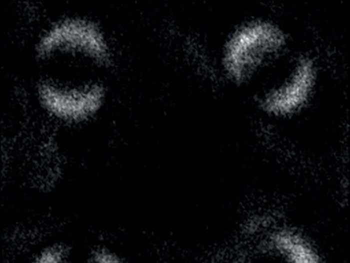 Physicists and biologists made big breakthroughs this year, too. This summer, researchers captured quantum entanglement on camera for the first time.