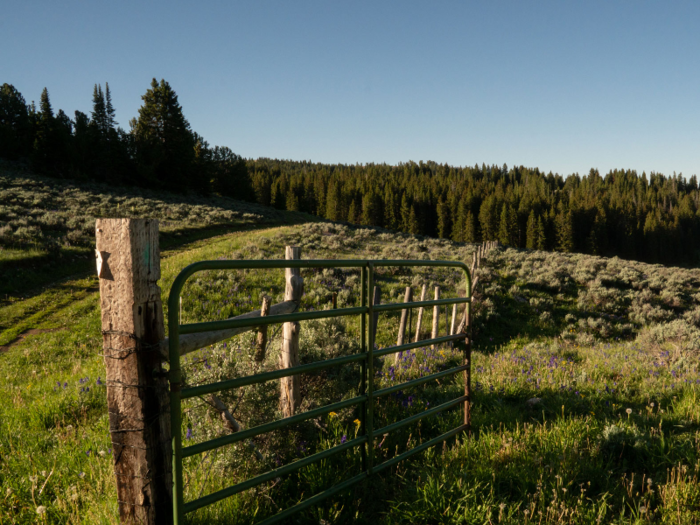 The ranch is located in an area known for its scenic and natural beauty.