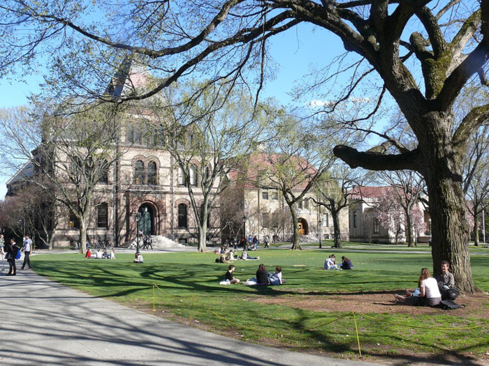 In 1997, Hayes moved to Rhode Island to study the philosophy of mathematics at Brown University, where he also wrote and acted in plays. There, he started dating his now-wife Kate Shaw.