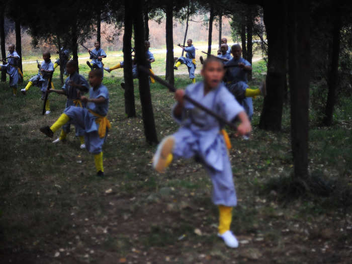 Monks practice thousands of different martial art movements, with names like "sweeping an army of thousands," or "flowers hidden among the leaves."