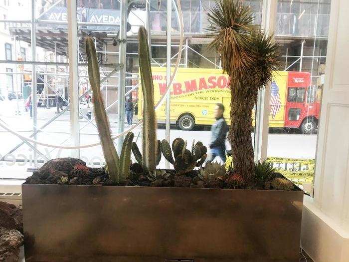 We also spotted various cacti around the store. According to the Outdoor Voices spokesperson, the plants are an homage to the company