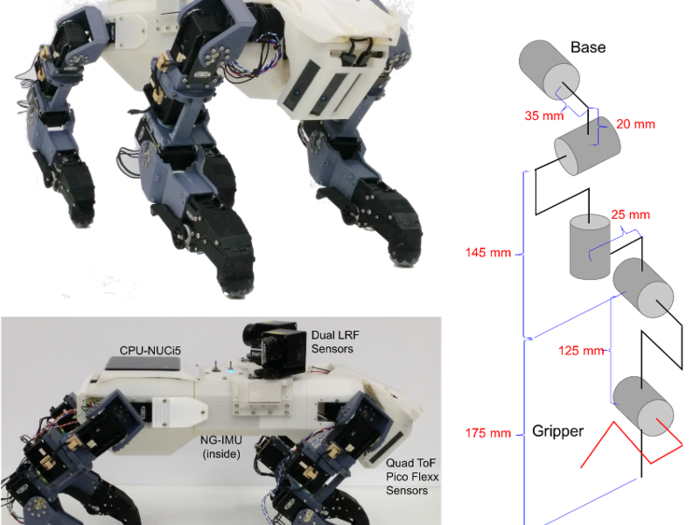 The robot has 23 degrees of freedom — specific aspects of its parts can move: five degrees of freedom in each leg, two for the dual laser rangefinder sensors, and one for the head.