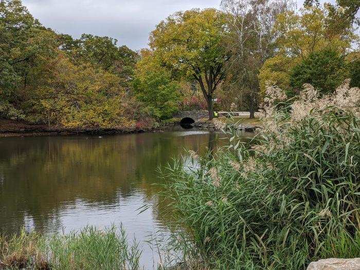 The same pond and bridge at 2x zoom.