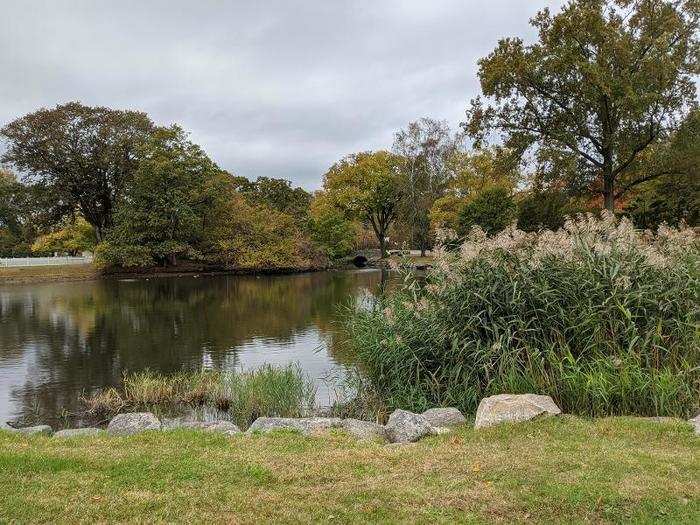 A pond and a bridge with no zoom.