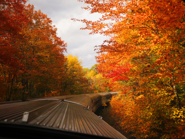 My trip was smack dab in the middle of October, so the environment was bright and at its peak autumn-ness.