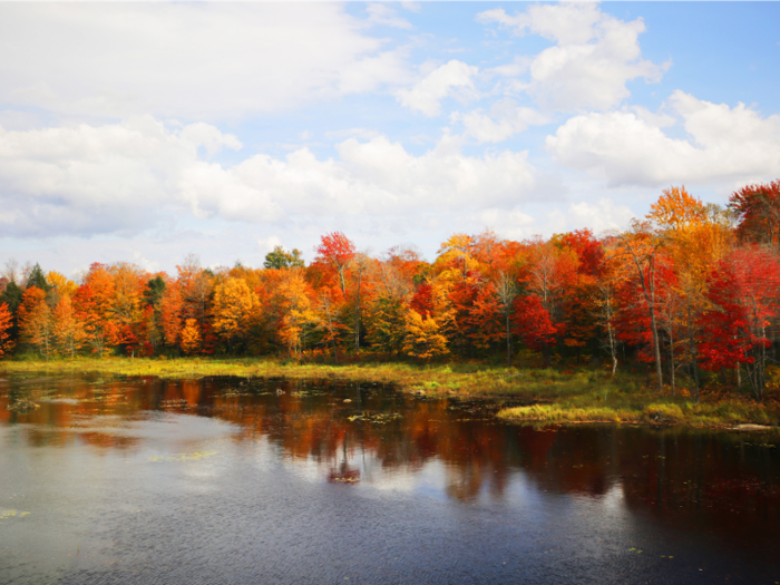 While I was able to get some beautiful shots of the orange, yellow, and red leaves ...