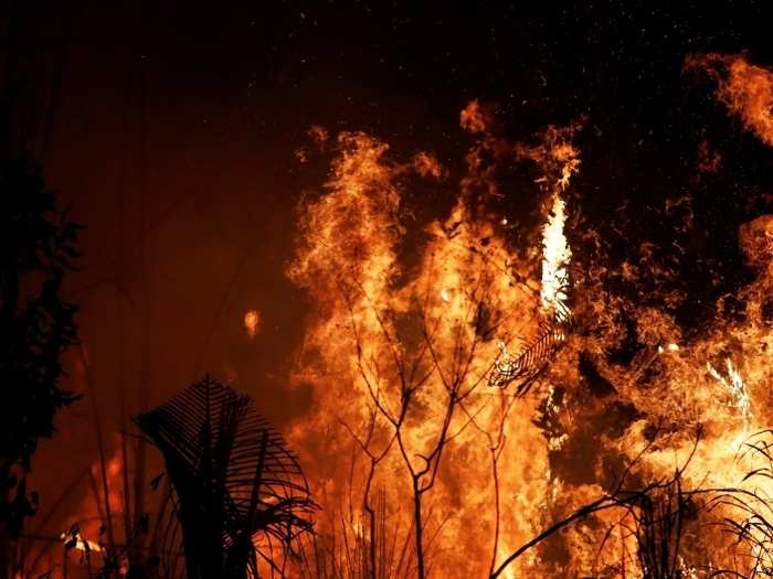 The world’s largest rainforest catches on fire — and nature’s not to blame