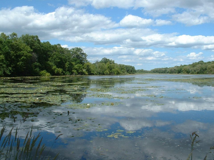 The richest town in Wisconsin is Merton.