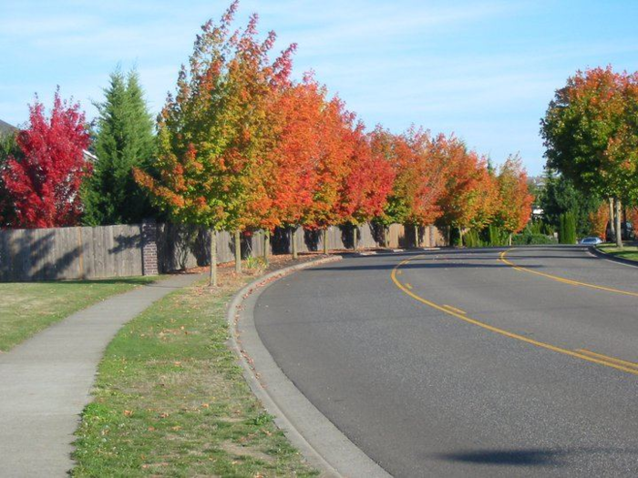 The richest town in Oregon is Bethany.