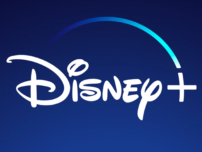 A Disney Plus subscription