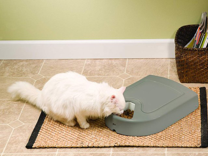 PetSafe 5-Meal Pet Feeder