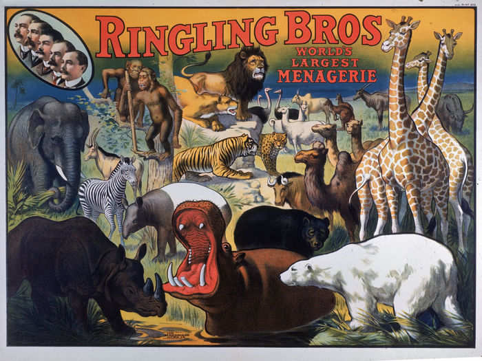 Alfred Ringling served as the head of public relations, and settled in what is now Oak Ridge, New Jersey.