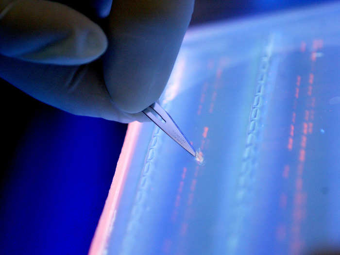 2015 was also the year that scientists mapped the human epigenome for the first time.