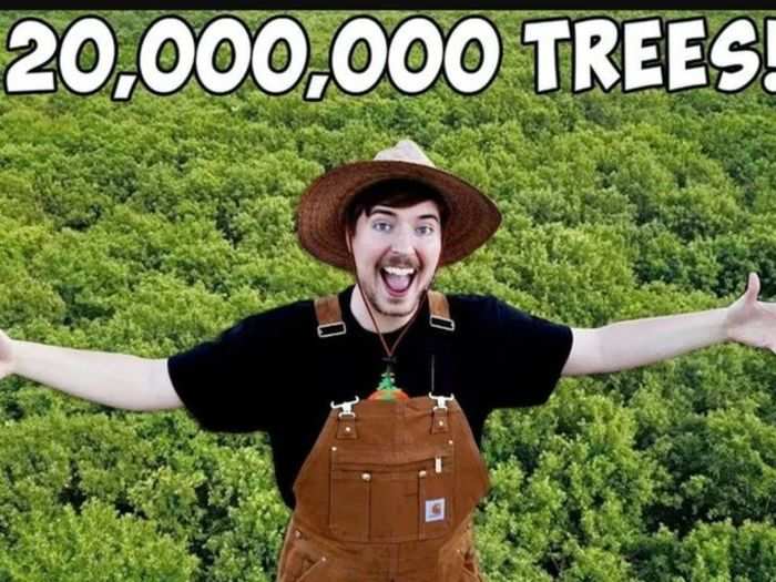 In October, MrBeast launched a fundraising campaign called #TeamTrees to plant 20 million trees by the end of 2019. The campaign has gathered the support of more than 600 influencers, and has received nearly $18 million in donations from tech execs like Elon Musk and Twitter CEO Jack Dorsey, and YouTube stars like Jeffree Star and PewDiePie.