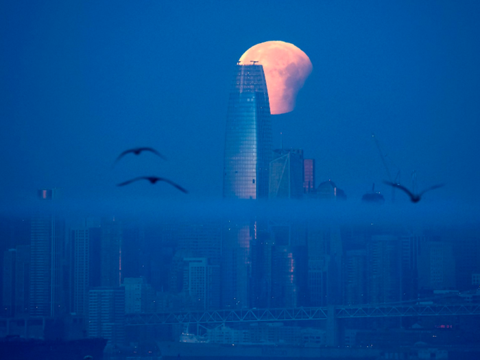 But the company did appease the masses on Halloween 2018, when an online petition begged Benioff to turn the light display into the eye of Sauron from "The Lord of the Rings."