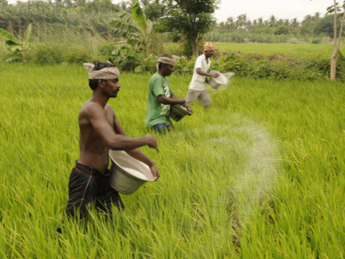 4. PM Kisan Yojana