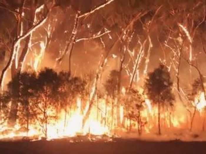 2. Australia bush fires