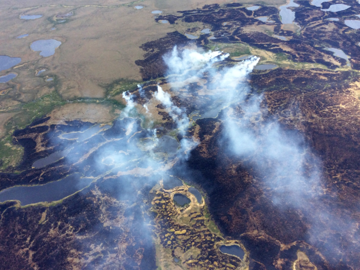 Wildfires are known to break out in the Arctic during the summer season, but the 2019 fires raged longer and were more intense than in previous years. The World Meteorological Organization (WMO) tracked more than 100 fires in the Arctic Circle in the summer of 2019.