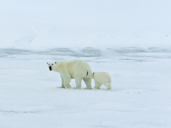 The Arctic Ocean has become the Northern Hemisphere